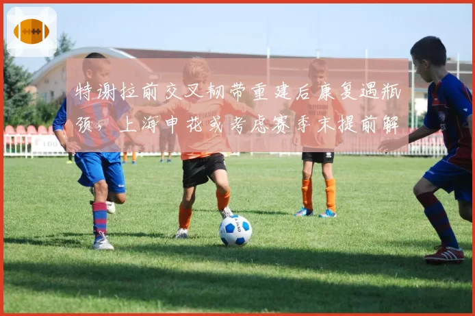 特谢拉前交叉韧带重建后康复遇瓶颈，上海申花或考虑赛季末提前解约