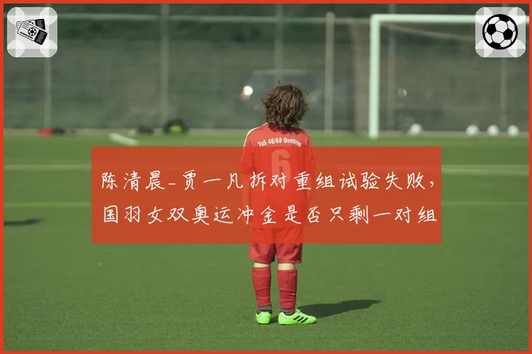 陈清晨_贾一凡拆对重组试验失败，国羽女双奥运冲金是否只剩一对组合？